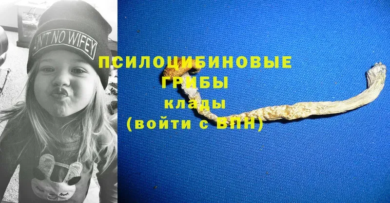 Псилоцибиновые грибы Magic Shrooms  где купить наркоту  Алушта 